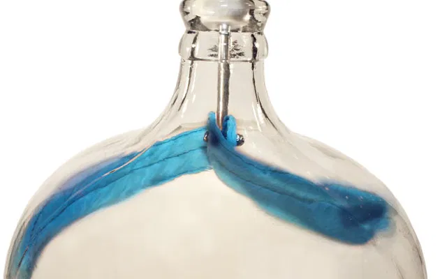 Large Carboy and Sanke Keg Cleaner