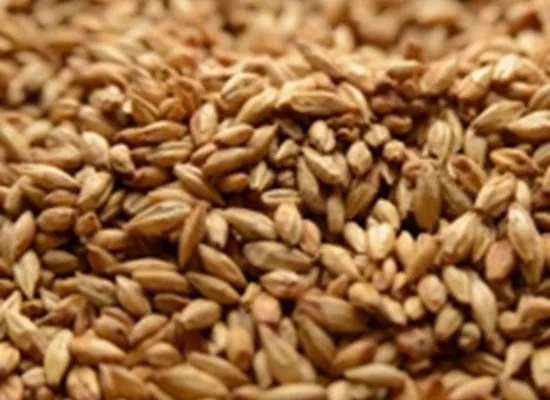 Briess Cherry Wood Smoked Malt