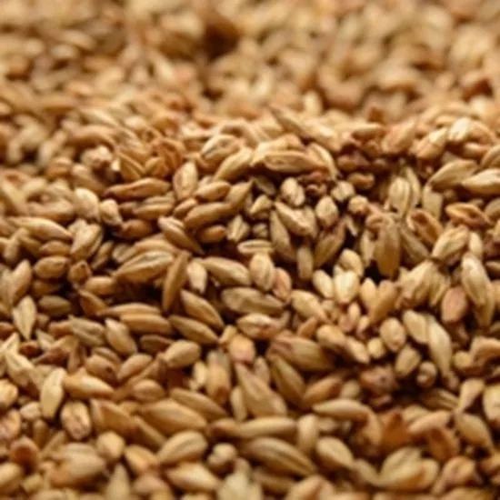 Briess Cherry Wood Smoked Malt
