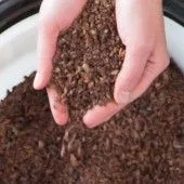 Dominican Republic Cocoa Nibs