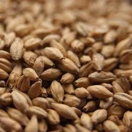 Crisp Best Ale Malt