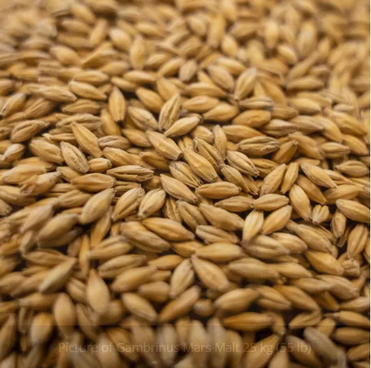 Gambrinus Mars Malt