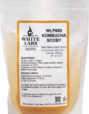 White Labs - WLP600 Kombucha Scoby