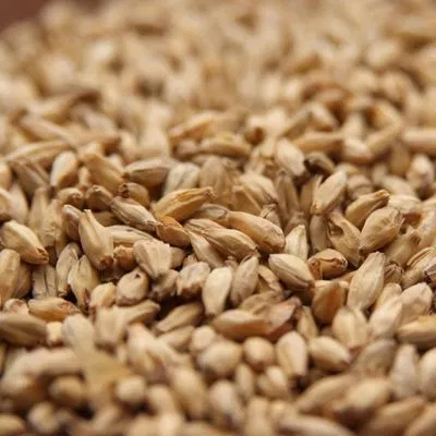 Rahr Pale Malt