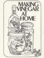 Making Vinegar at Home