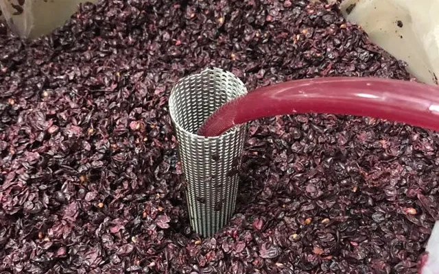 The Wine Siphon and Pump-over Tool