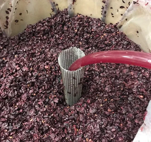 The Wine Siphon and Pump-over Tool