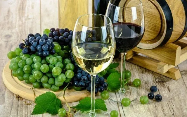 Intro. to Winemaking Class